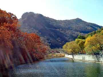 新澳天天开奖资料大全旅游团，合浦seo快速排名软件